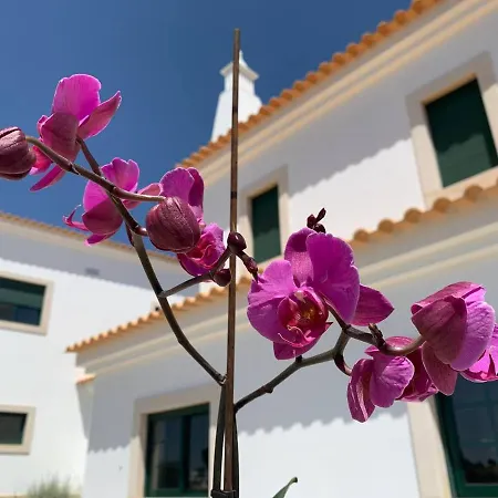 Casa Mineira 2*